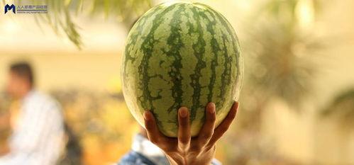 娱乐瓜吃瓜最新,揭秘明星背后的秘密与真相