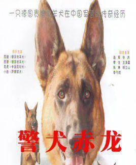 电影警犬赤龙在线观看,忠诚守护，热血追踪