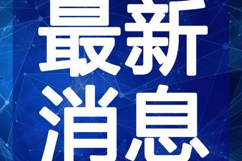 日本爆料富士康视频最新,揭秘日本工厂真实工作环境