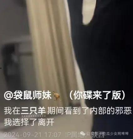 三只羊被爆料视频,背后真相令人震惊
